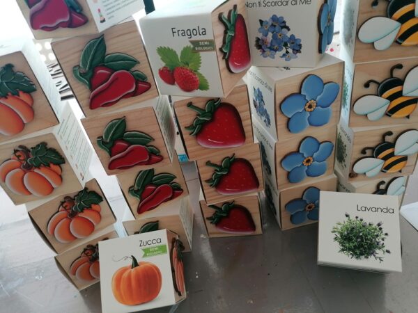CUBOTTI CON SEMI DI ESSENZE VARIE