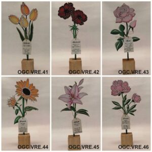 OGC.VRE. 41-46
