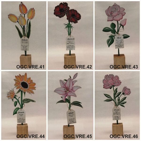 OGC.VRE. 41-46